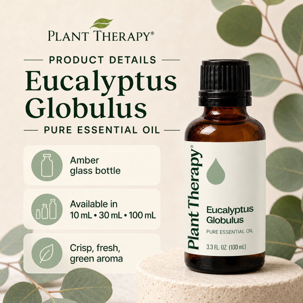 Plant Therapy Eucalyptus Globulus Essential Oil