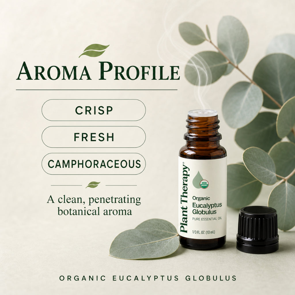Plant Therapy Organic Eucalyptus Globulus Essential Oil