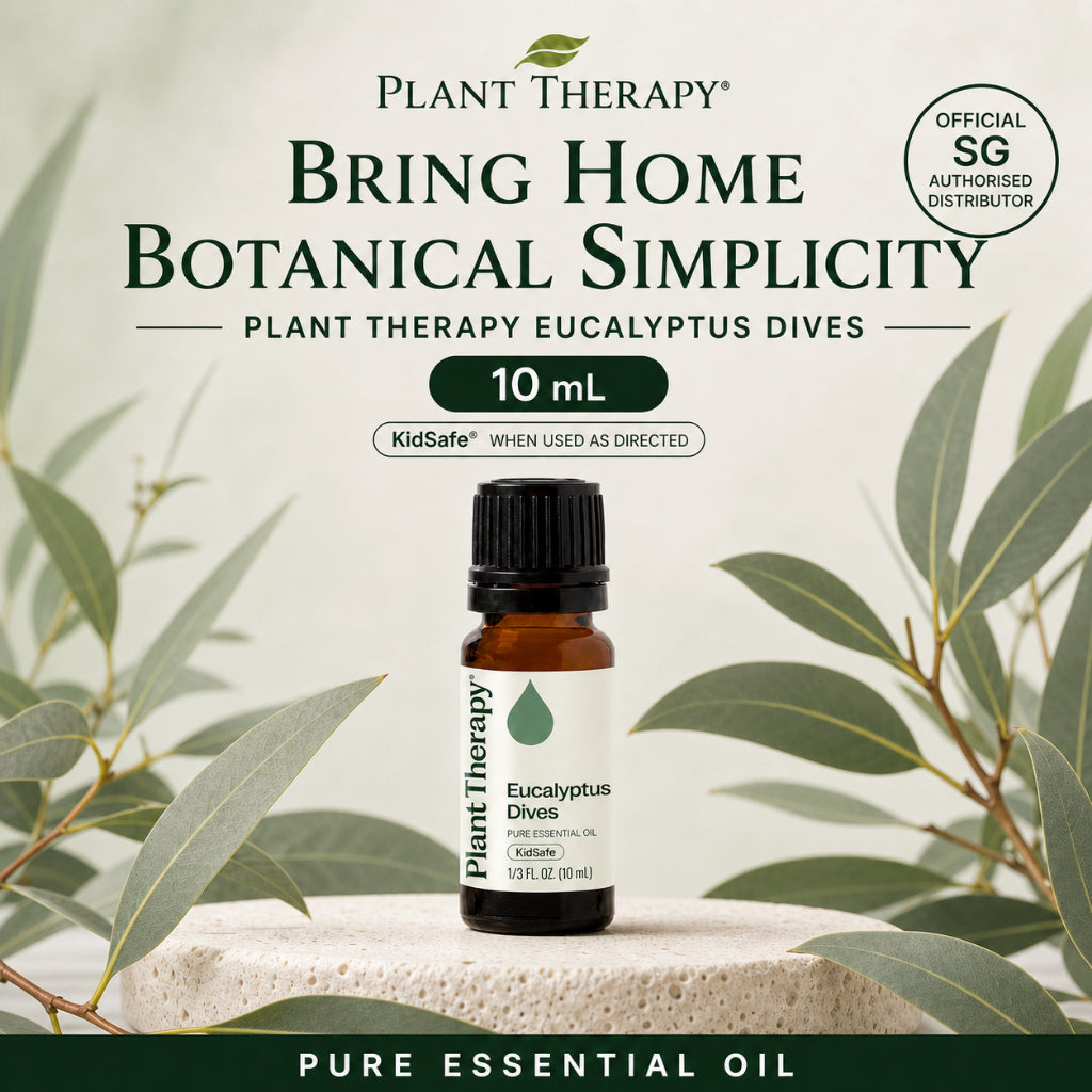 Plant Therapy Eucalyptus Dives Essential Oil