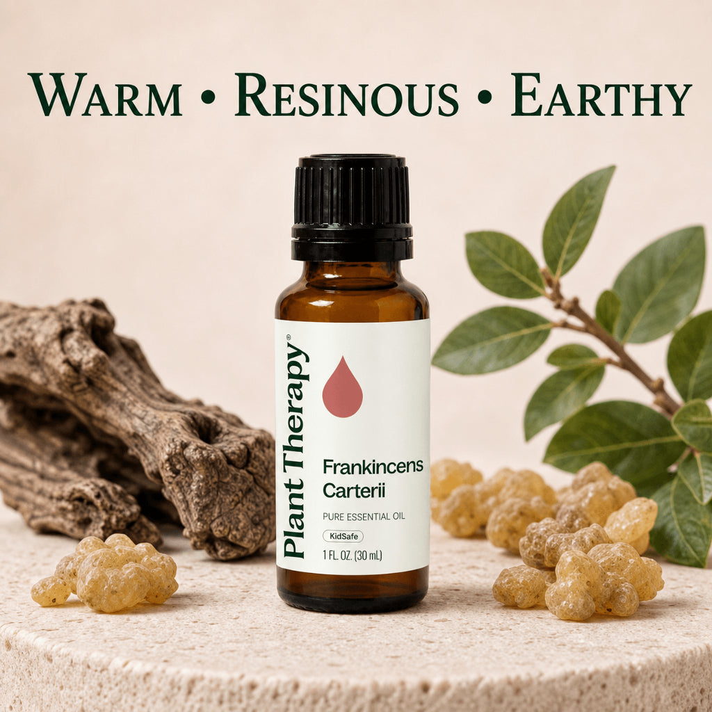 Plant Therapy Frankincense Carterii Essential Oil