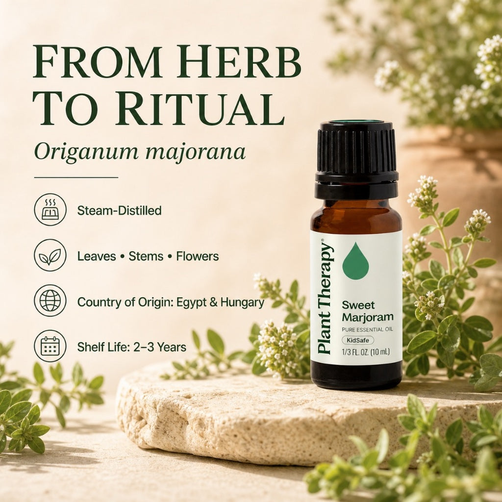 Plant Therapy Sweet Marjoram Essential Oil
