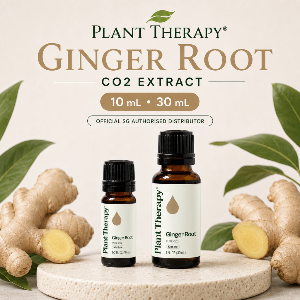 Plant Therapy Ginger Root CO2 Extract