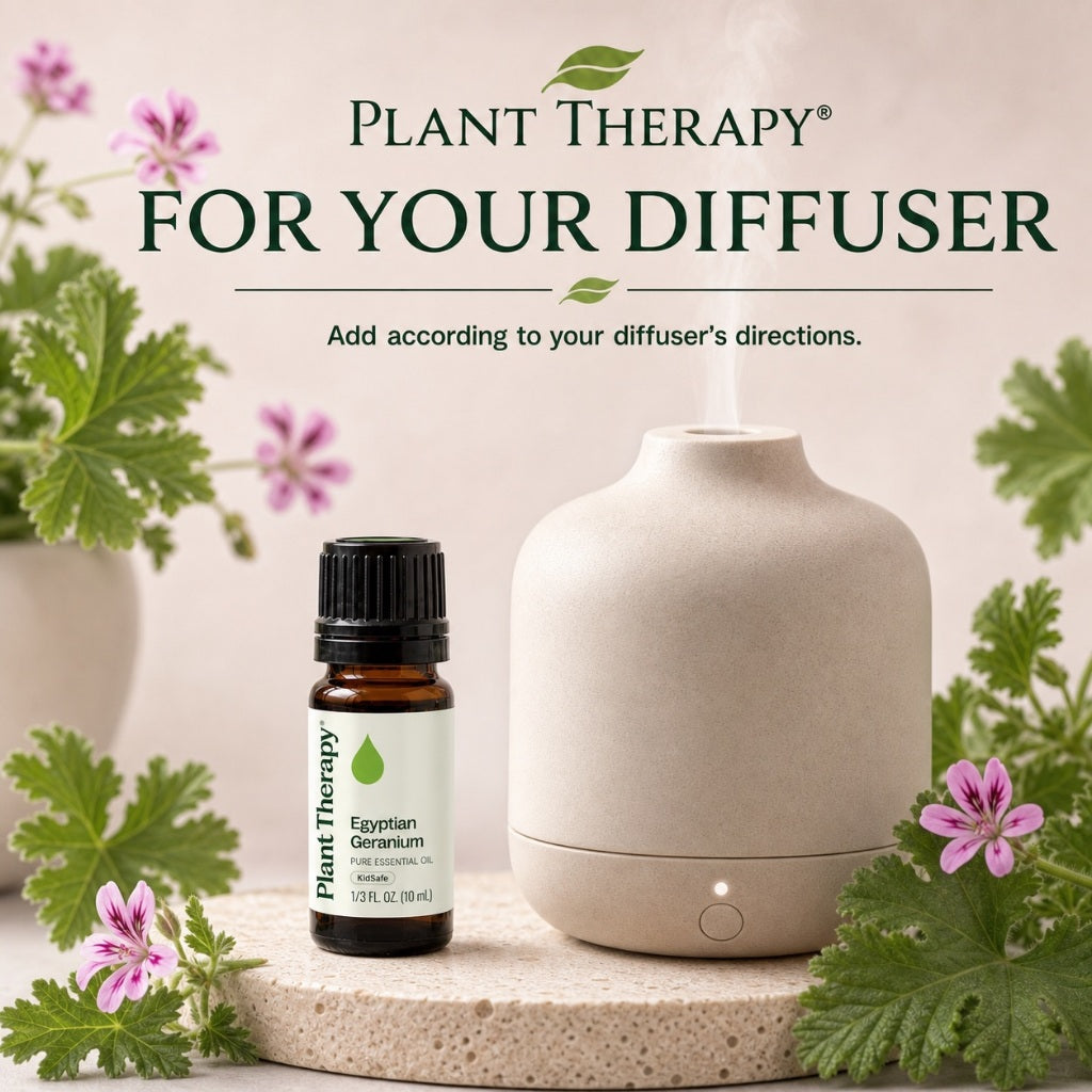 Plant Therapy Geranium Egyptian Essential Oil