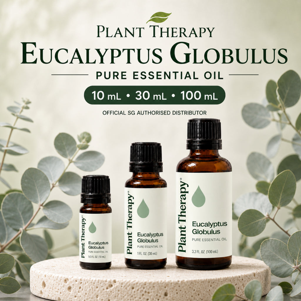 Plant Therapy Eucalyptus Globulus Essential Oil