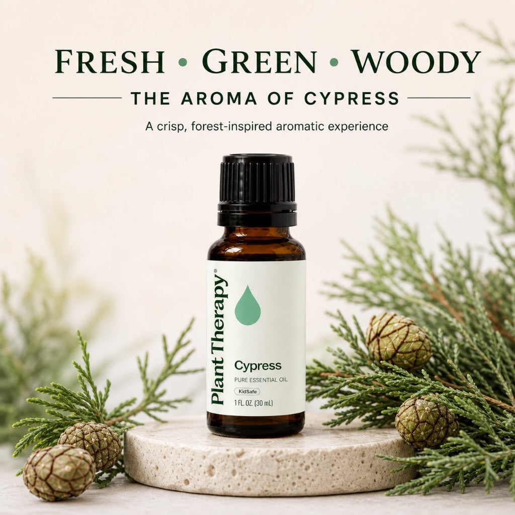 Plant Therapy Cypress Essential Oil