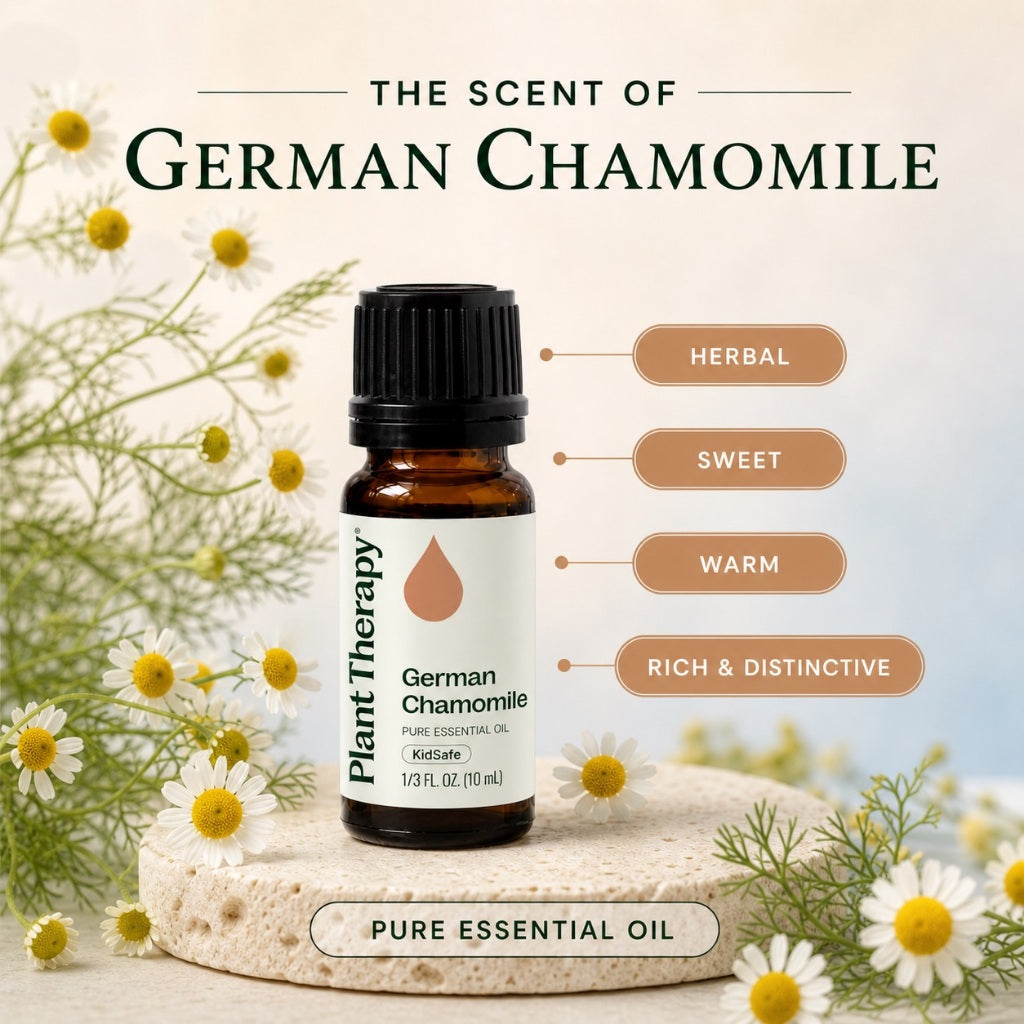 Plant Therapy German Chamomile Essential Oil