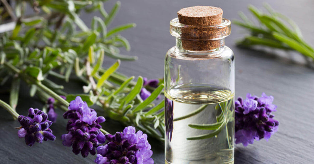 10 Best Essential Oils and How to Use Them