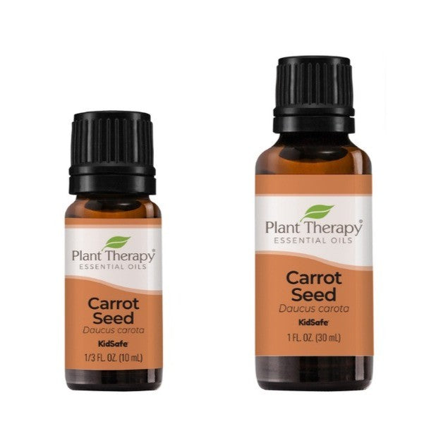 plant therapy carrot seed oil Plant Therapy Carrot Seed Essential Oil – Nature Therapy