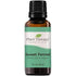 Sea Sweet Fennel Essential Oil product image 5 – Nature Therapy Singapore