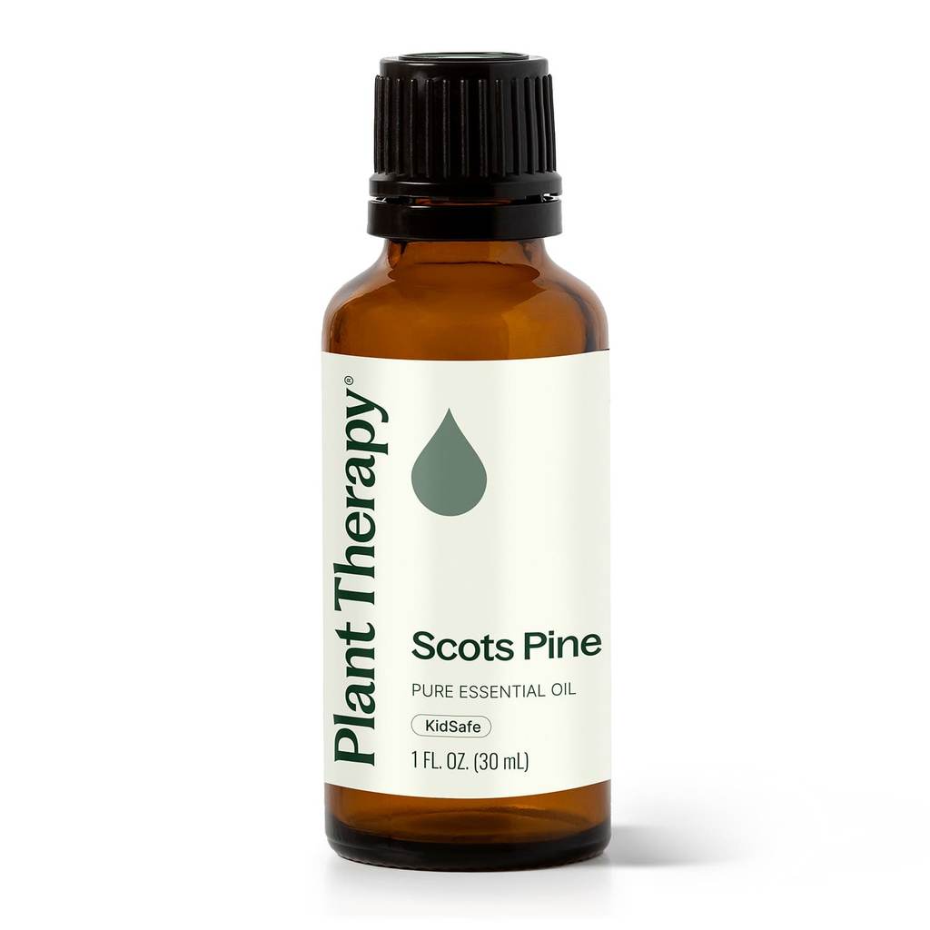Scots Pine Essential Oil product image 10 – Nature Therapy Singapore