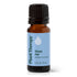 Sleep Aid Synergy Essential Oil product image 10 – Nature Therapy Singapore