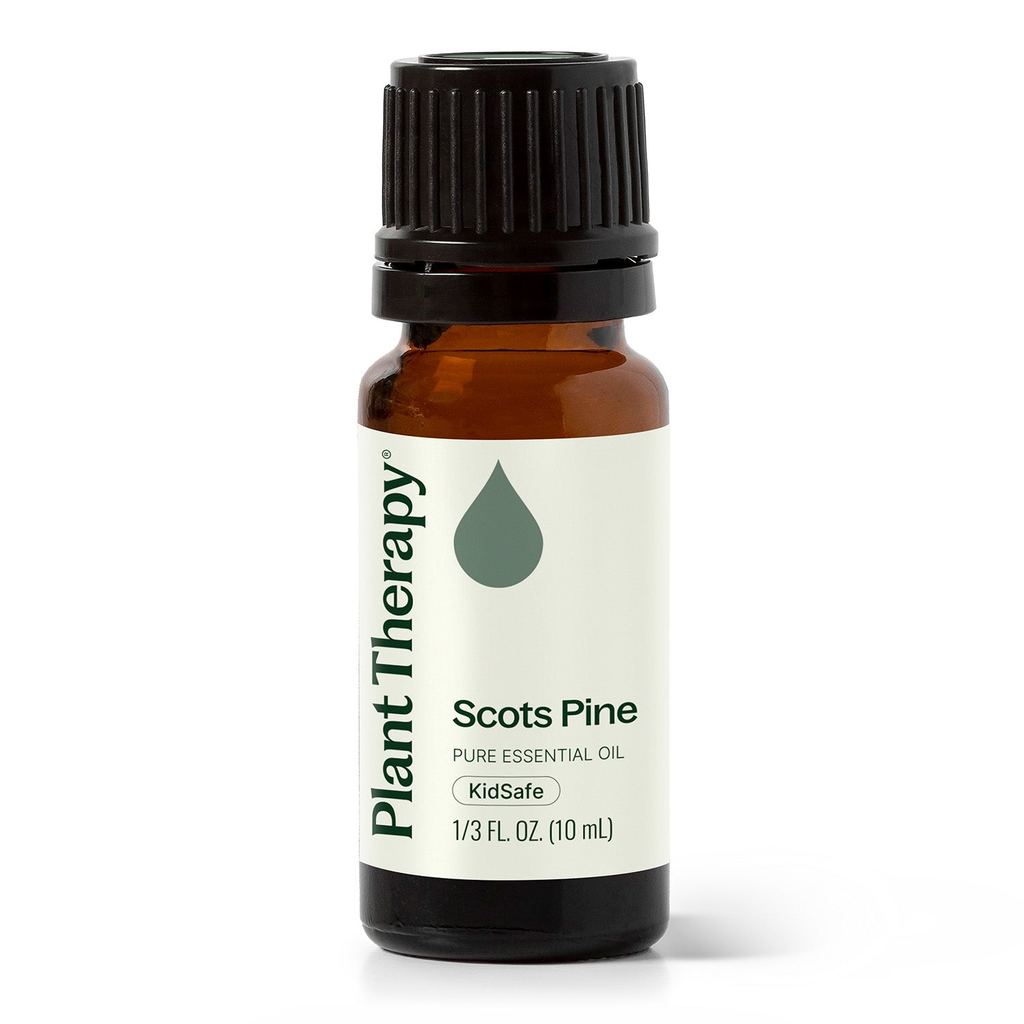 Scots Pine Essential Oil product image 11 – Nature Therapy Singapore