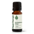 Eucalyptus Dives Essential Oil product image 10 – Nature Therapy Singapore