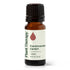 Frankincense Carterii Essential Oil product image 10 – Nature Therapy Singapore