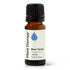 Blue Tansy Essential Oil product image 10 – Nature Therapy Singapore