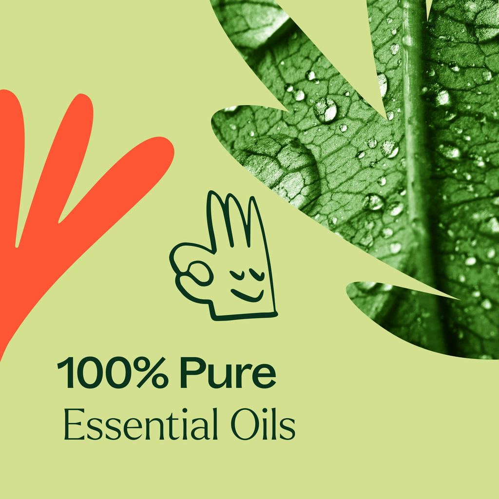 Plant Therapy Zit Fighter Synergy Essential Oil