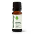 Geranium Egyptian Essential Oil product image 11 – Nature Therapy Singapore
