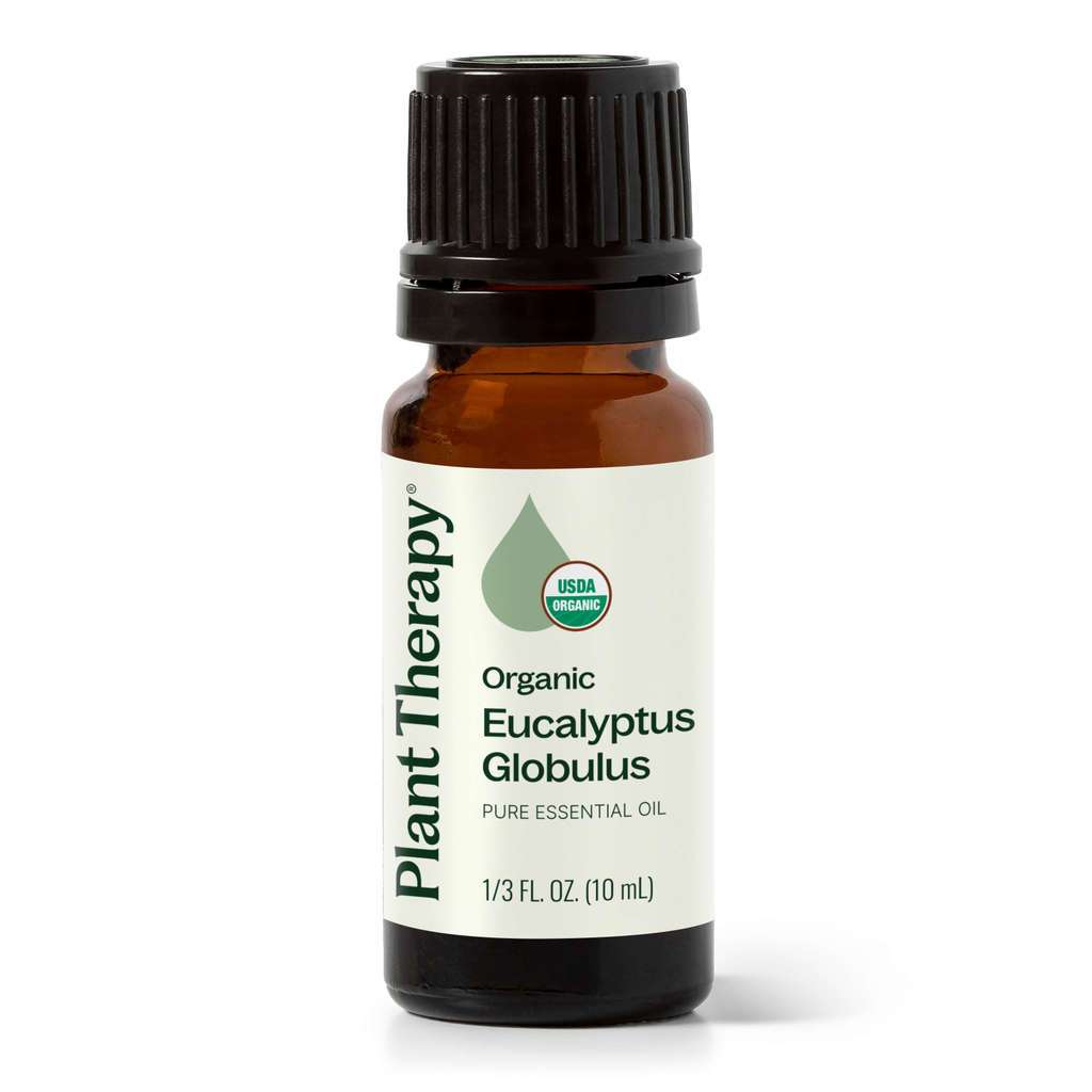 Organic Eucalyptus Globulus Essential Oil product image 11 – Nature Therapy Singapore