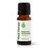 Rosemary Essential Oil product image 11 – Nature Therapy Singapore