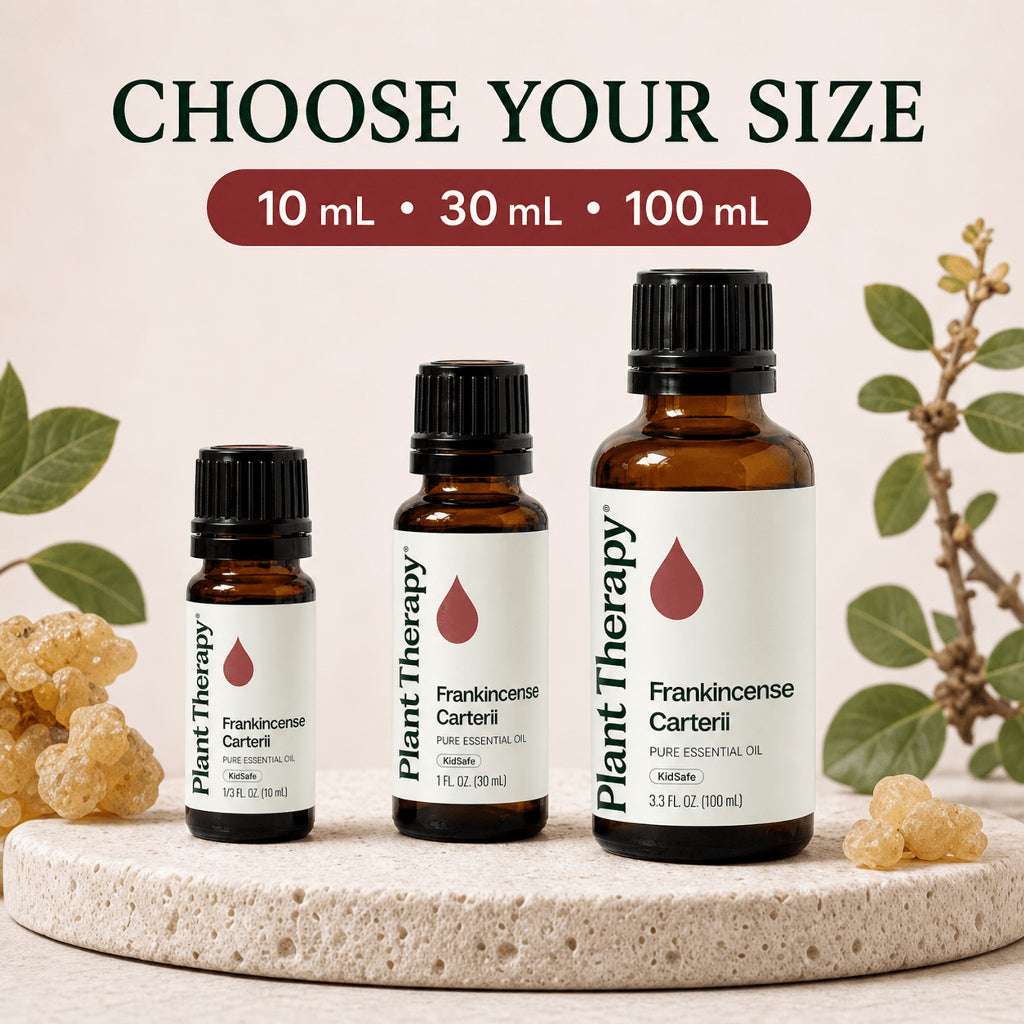 Plant Therapy Frankincense Carterii Essential Oil