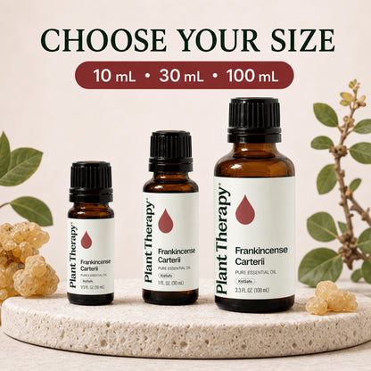 Plant Therapy Frankincense Carterii Essential Oil