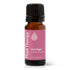 Anti Age Synergy Essential Oil product image 12 – Nature Therapy Singapore