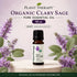 Plant Therapy Organic Clary Sage Essential Oil 10ml