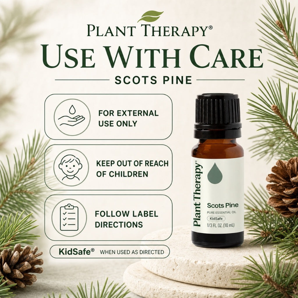 Plant Therapy Scots Pine Essential Oil