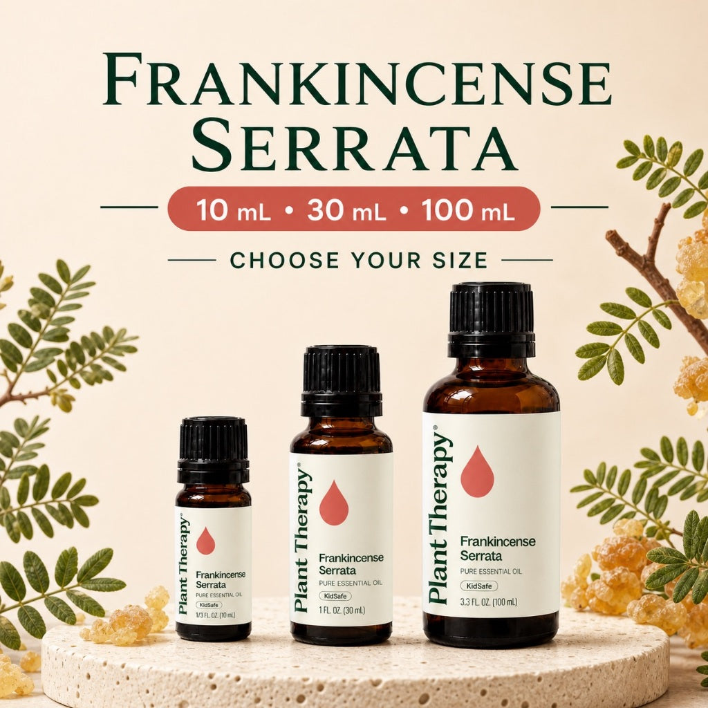 Plant Therapy Frankincense Serrata Essential Oil