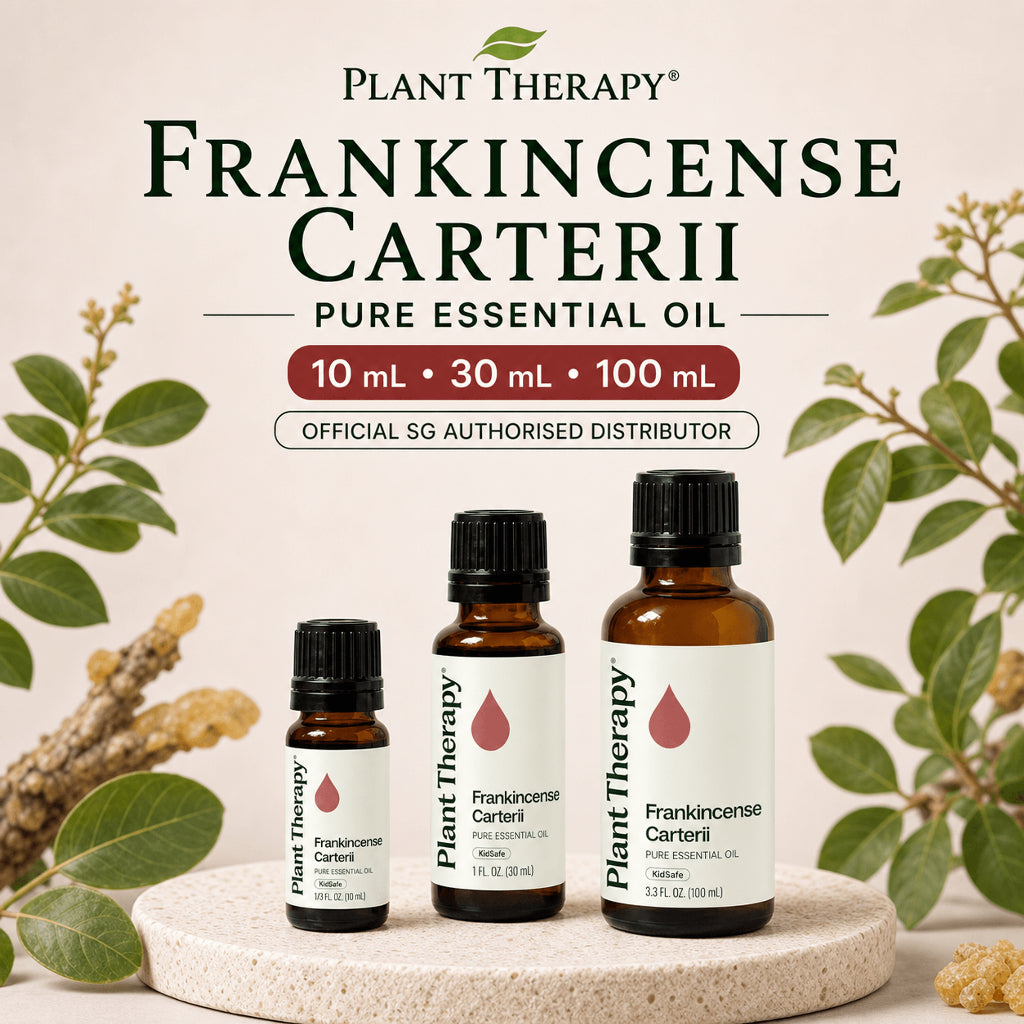Plant Therapy Frankincense Carterii Essential Oil