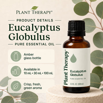Plant Therapy Eucalyptus Globulus Essential Oil