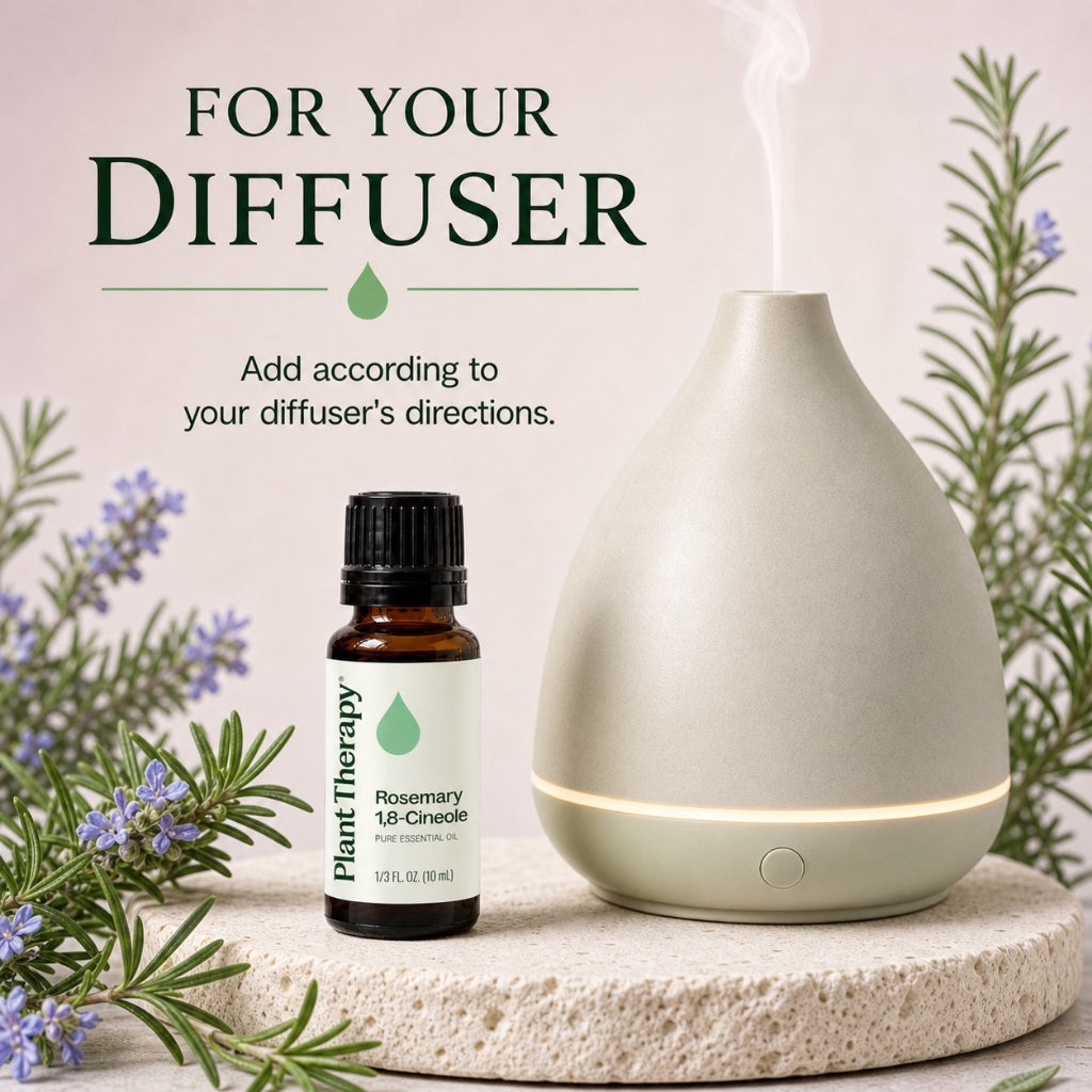 Plant Therapy Rosemary Essential Oil｜Official SG Authorised Distributor