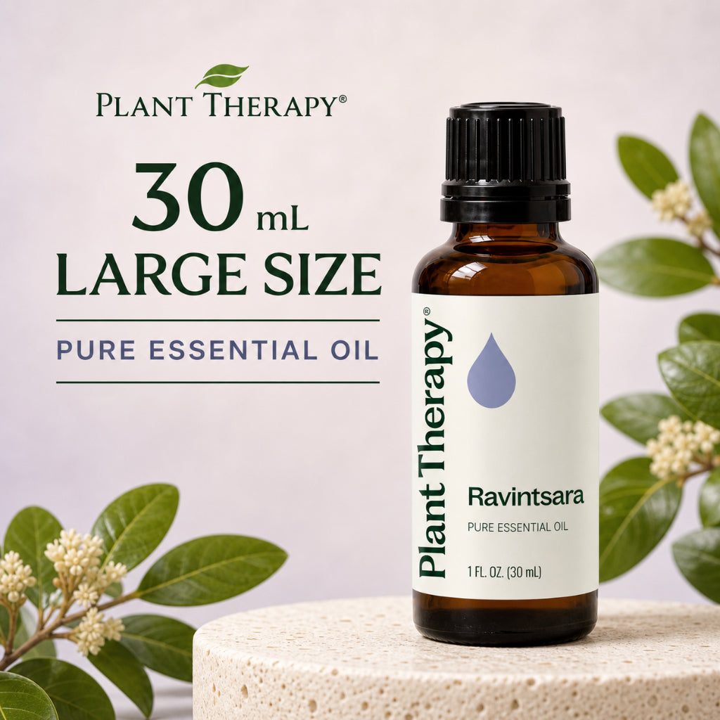 Plant Therapy Ravintsara Essential Oil