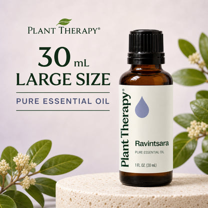 Plant Therapy Ravintsara Essential Oil
