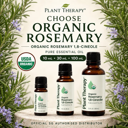 Plant Therapy Organic Rosemary 1,8-Cineole Essential Oil