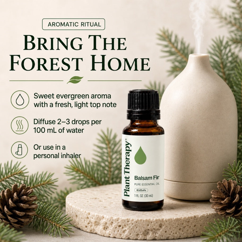 Plant Therapy Balsam Fir Essential Oil