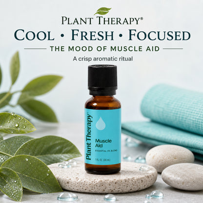 Plant Therapy Muscle Aid Synergy Essential Oil