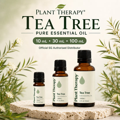Plant Therapy Tea Tree Essential Oil