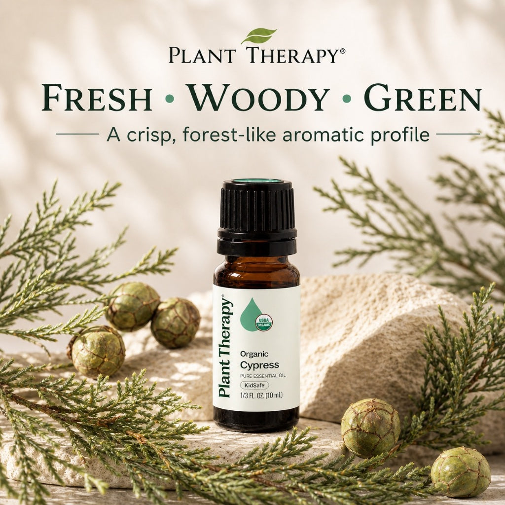 Plant Therapy Organic Cypress Essential Oil