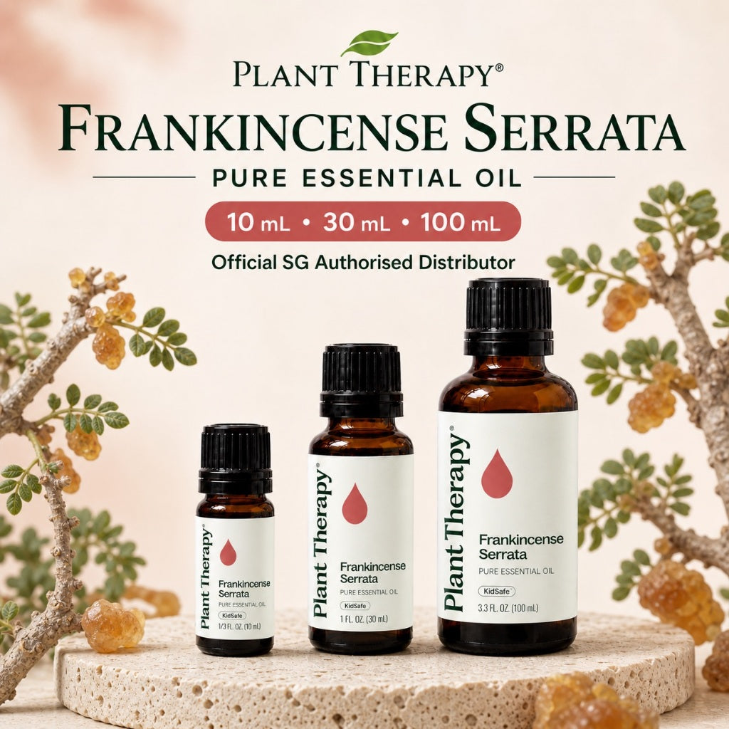 Plant Therapy Frankincense Serrata Essential Oil