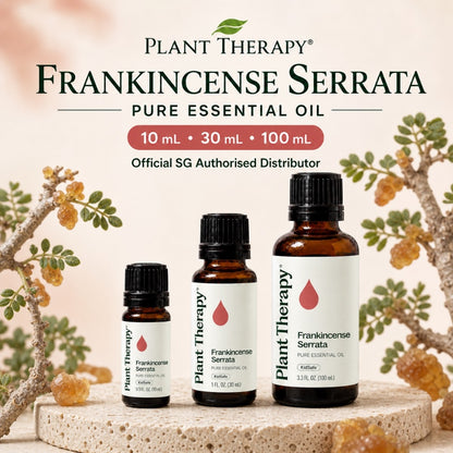 Plant Therapy Frankincense Serrata Essential Oil