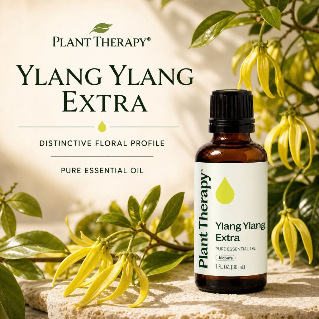 Plant Therapy Ylang Ylang Extra Essential Oil