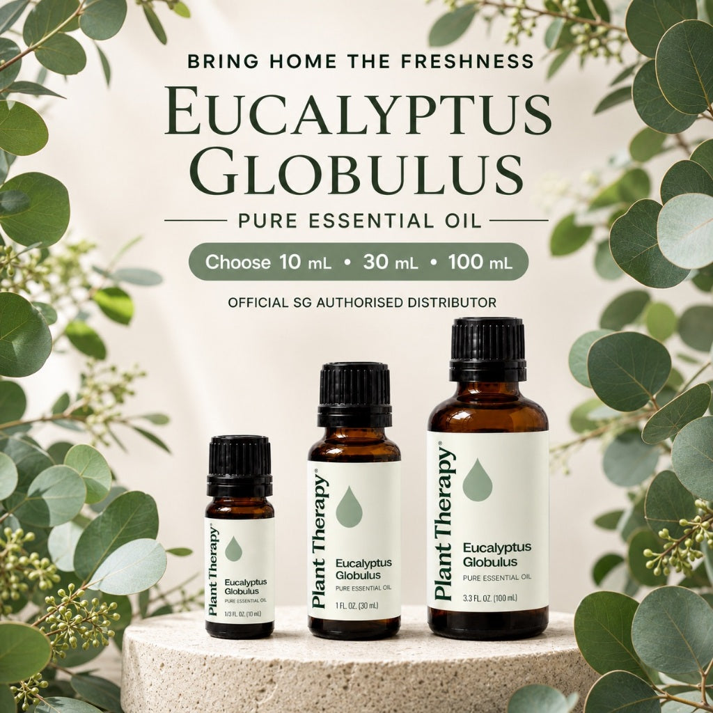 Plant Therapy Eucalyptus Globulus Essential Oil
