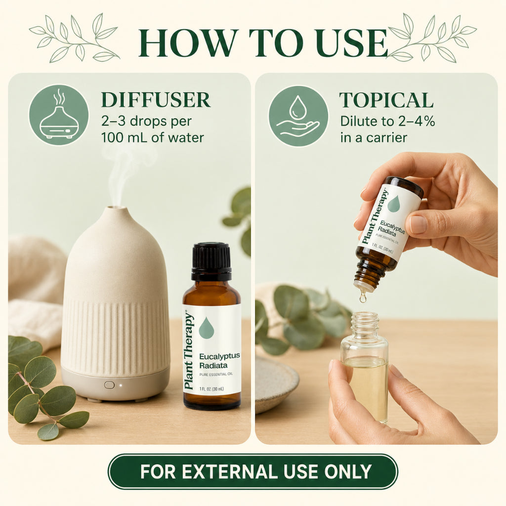 Plant Therapy Eucalyptus Radiata Essential Oil