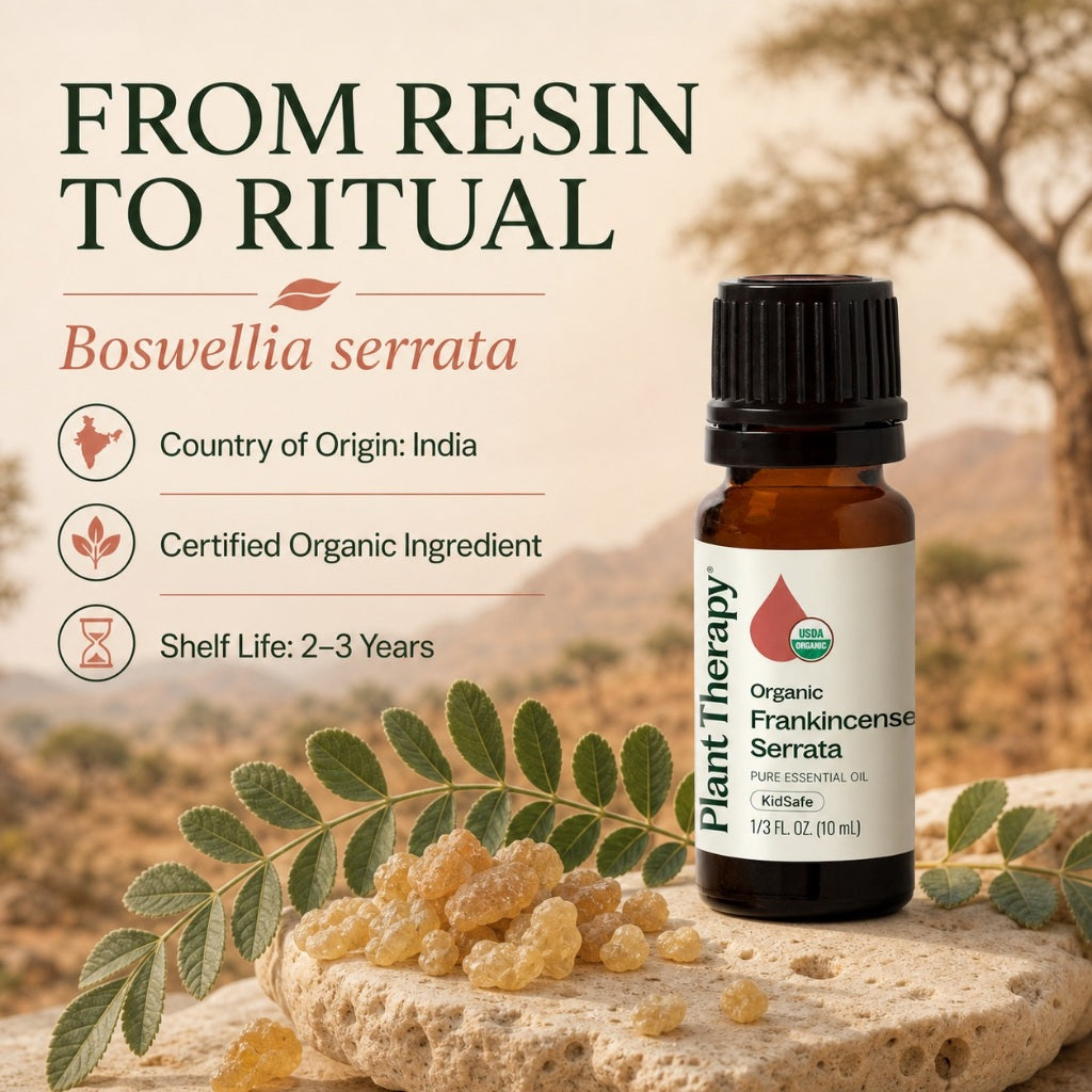 Plant Therapy Organic Frankincense Serrata Essential Oil