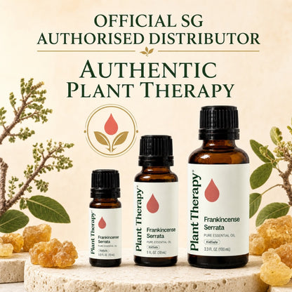 Plant Therapy Frankincense Serrata Essential Oil
