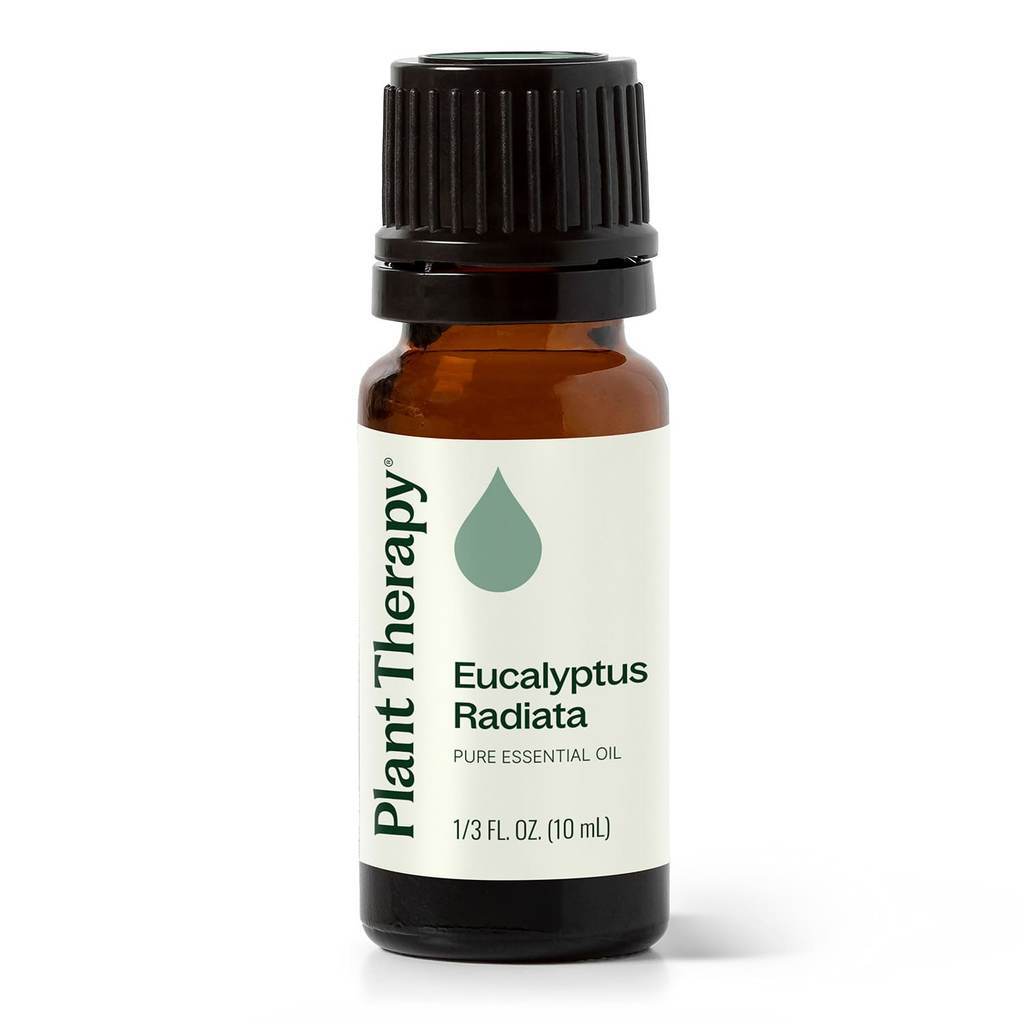Eucalyptus Radiata Essential Oil product image 10 – Nature Therapy Singapore