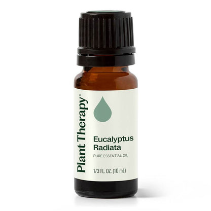 Eucalyptus Radiata Essential Oil product image 10 – Nature Therapy Singapore