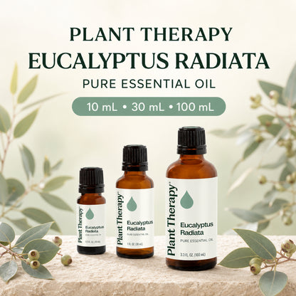 Plant Therapy Eucalyptus Radiata Essential Oil