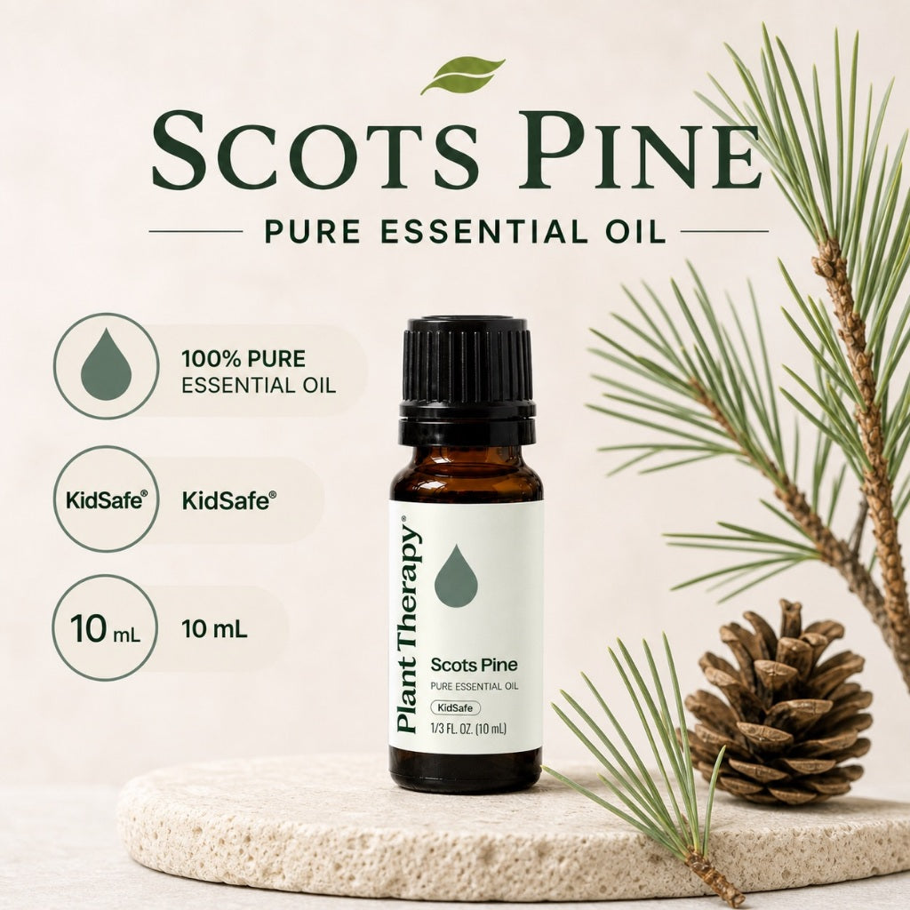Plant Therapy Scots Pine Essential Oil